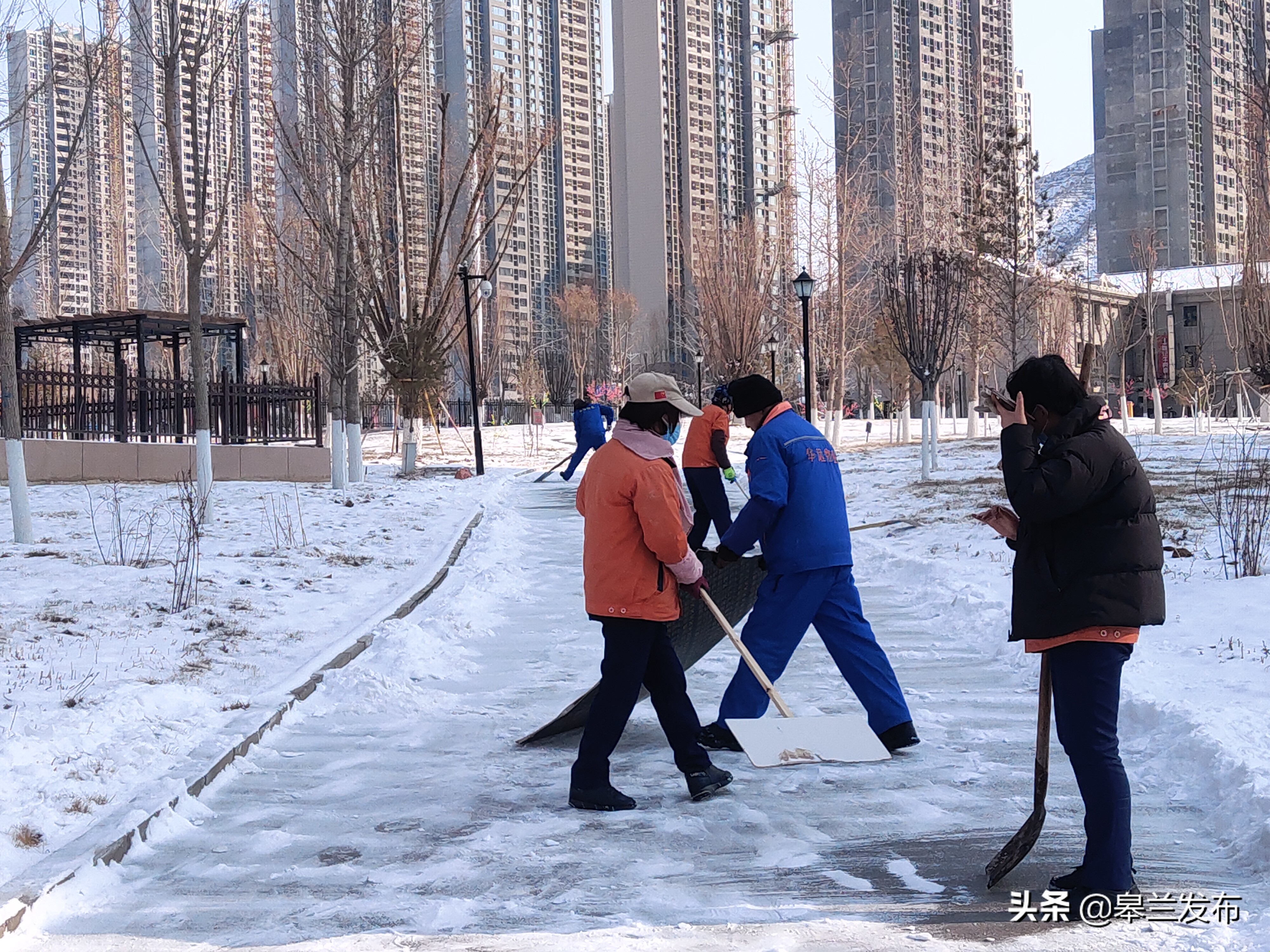 �����ɲ�Ⱥ�������� ��������ѩ����ģʽ��