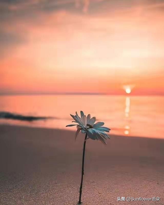 唯美惊艳的治愈句子,优雅走心,直抵心灵