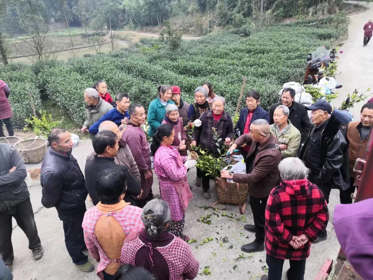 杰心集团致力于打造成为中国油茶全产业链品牌