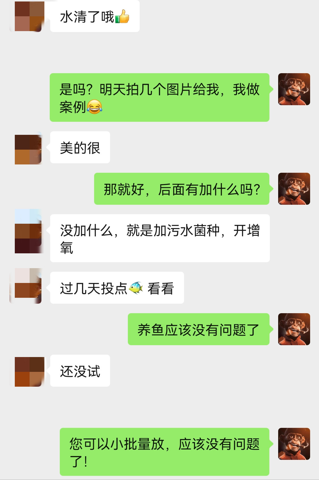 怎么把受猪场尿粪污染的鱼塘净化重新养鱼？广东这位老板告诉你