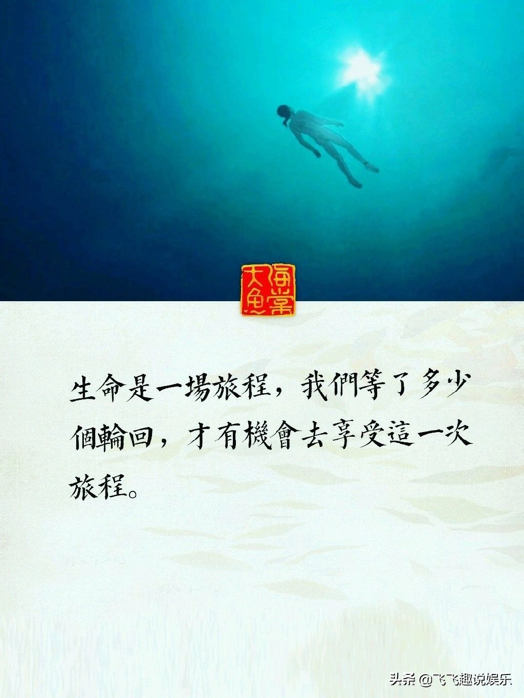 《大鱼海棠》经典台词，这短短的一生，你不妨大胆一些