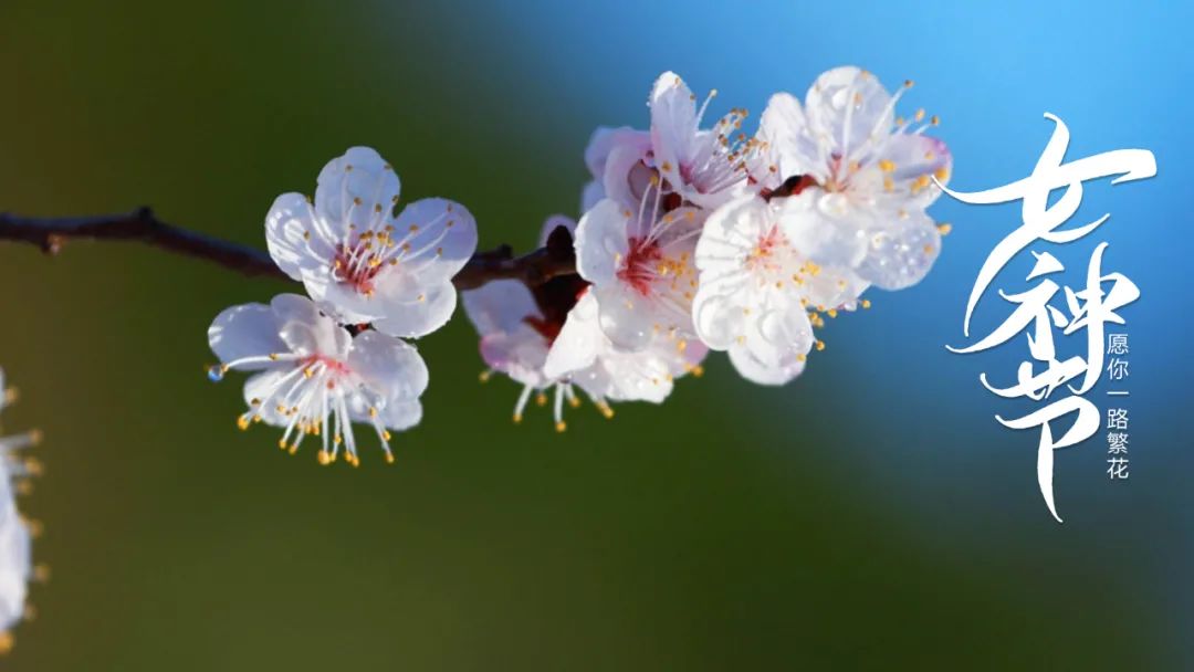 古代春图片大全大图(「诗词鉴赏」女神节，看古代才女笔下的春天，千般妩媚万种风情)