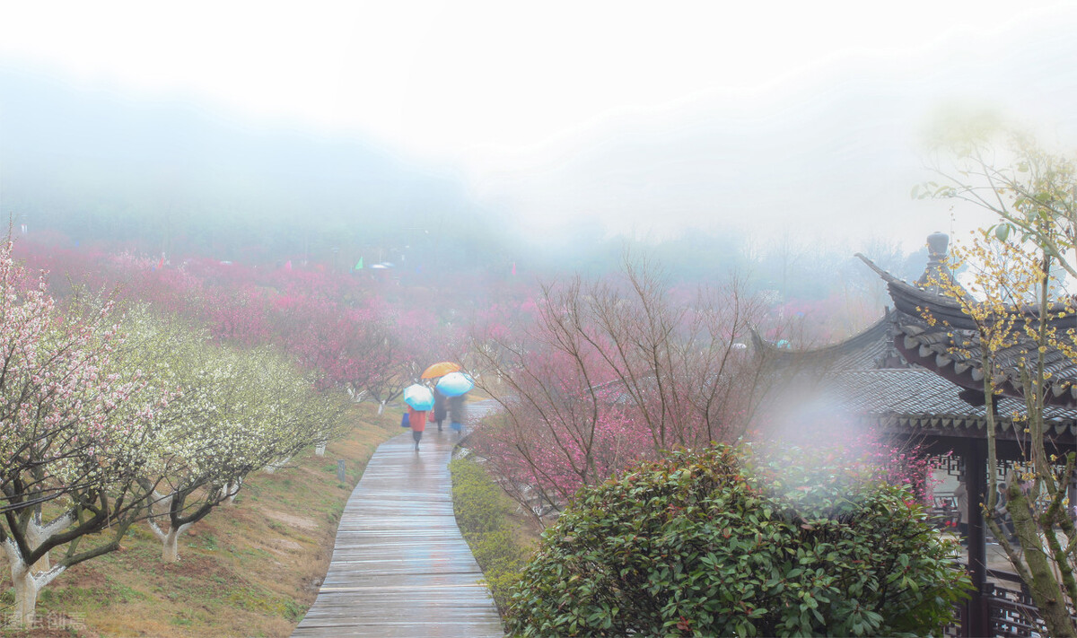 春天万物复苏，美丽不止一点点