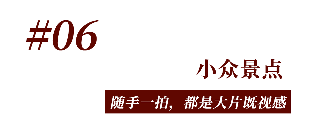 岳麓山，“枫”了！