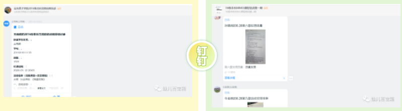 凤凰花开｜我的大学四年——毕业亦开始，不叁有你