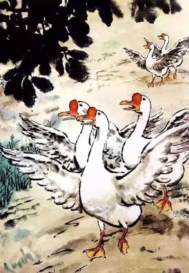 水中花白鹅，诗画溢欢歌：“白鹅”诗词20首，国画白鹅46幅