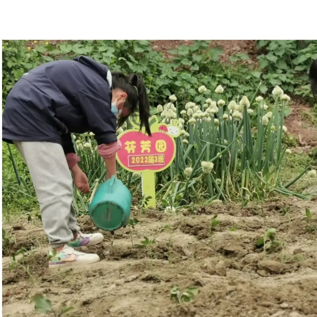天府新区大林小学开展“春耕节”和“春意VS烟火”劳动实践活动