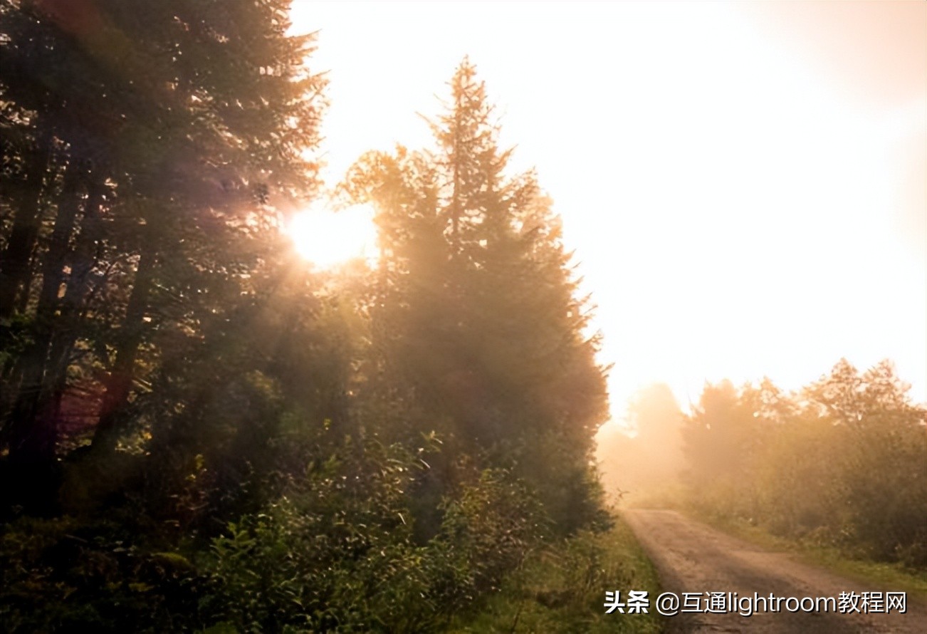 在攝影中怎樣運用氛圍，提高照片的出鏡率