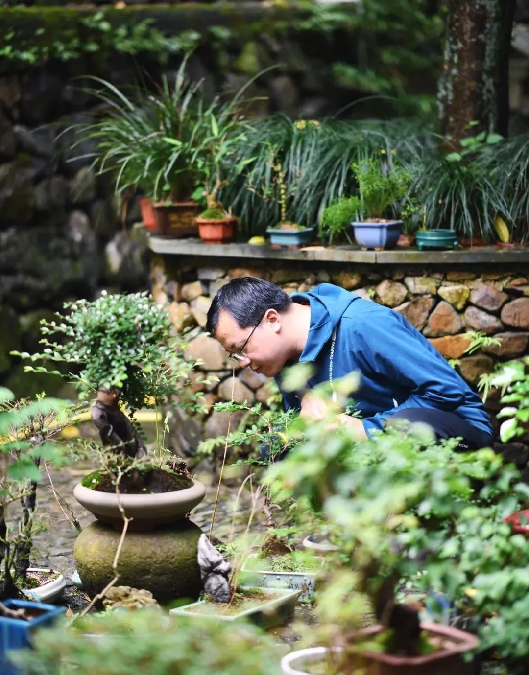 38岁独居作家的双城生活：日子再难，总有应对之策