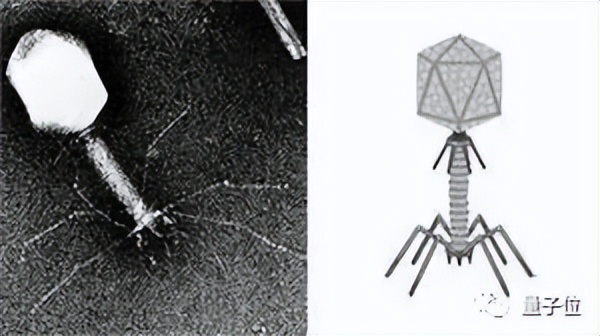 日本老父亲5000元DIY可行走床头灯，让女儿半夜下床不怕黑