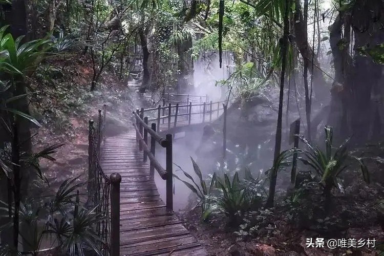 乡村产业发展，如何有效利用“四荒地”？5大创意玩法值得借鉴