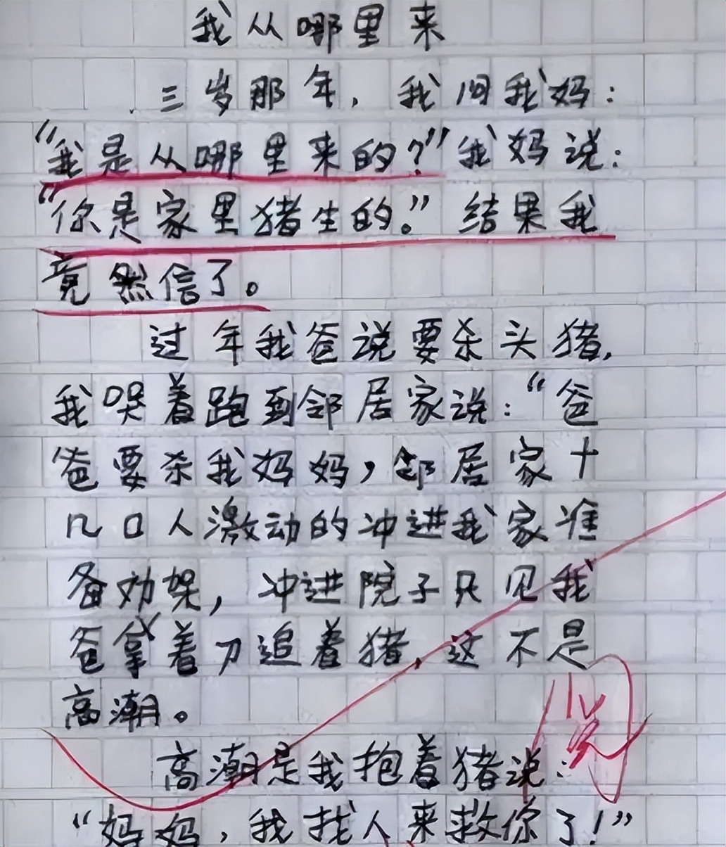 小学生作文《我从哪里来》火了,只因妈妈的一句话,闹了个大笑话