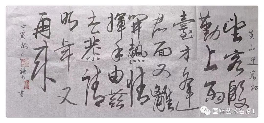 国粹艺术名家——杨专
