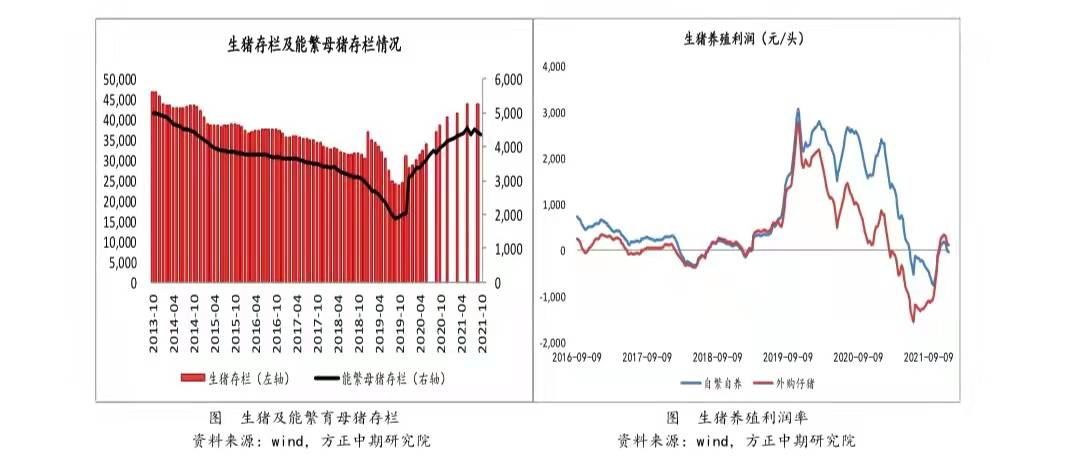 玉米连续杀跌，涨势到头了？