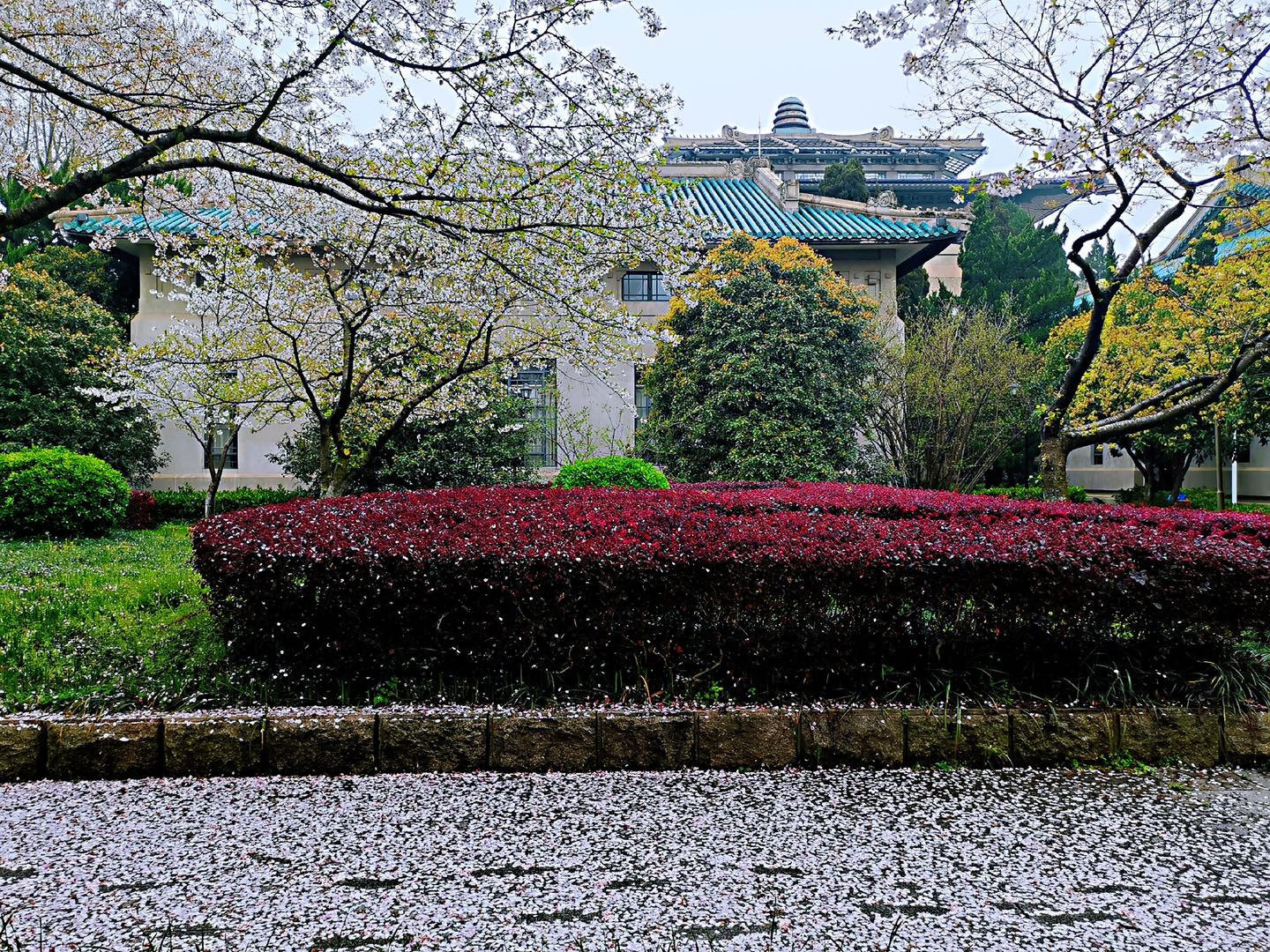武汉科技大学汽车与交通工程学院（聊聊湖北高校的层次）