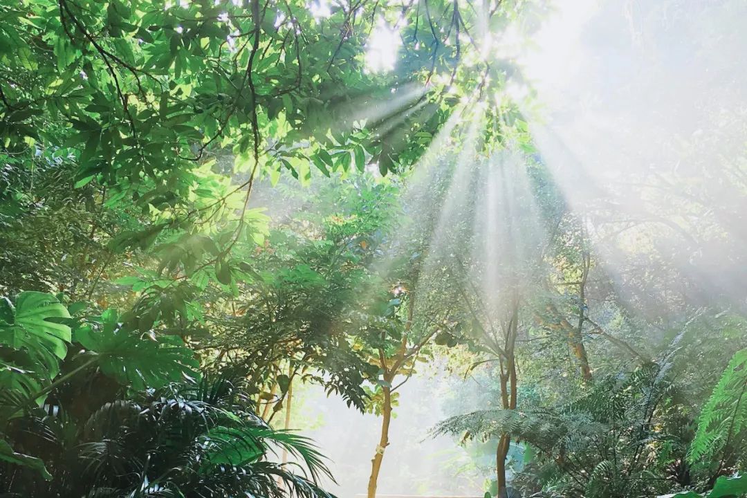 如果你觉得不幸福,就读一读这六首诗词,能让你豁然开朗