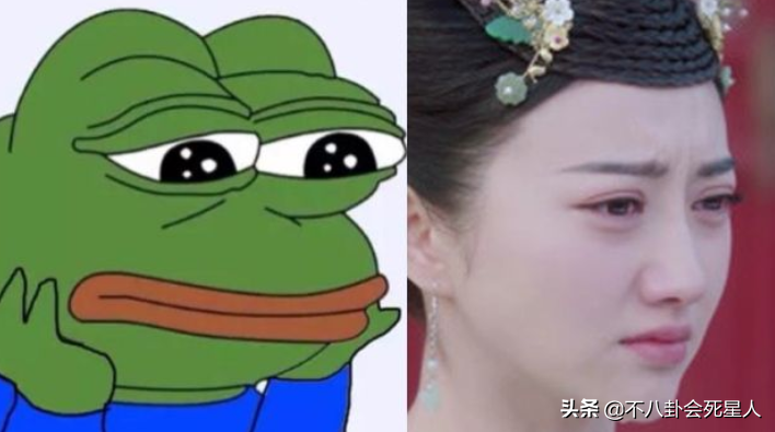 金晨的鼻，李小璐的眼，杨紫的下巴，让我看到女星的极度“自卑”