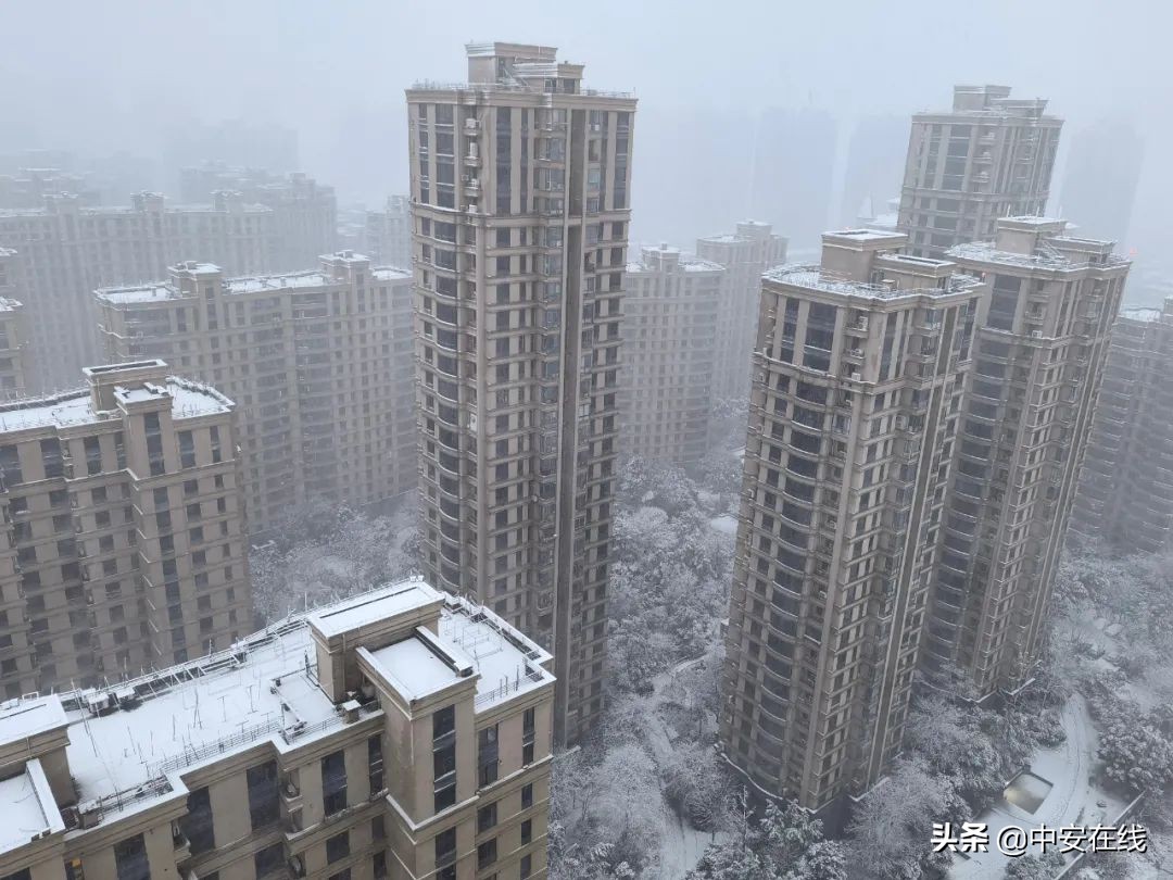 芜湖这场雪 下得太认真