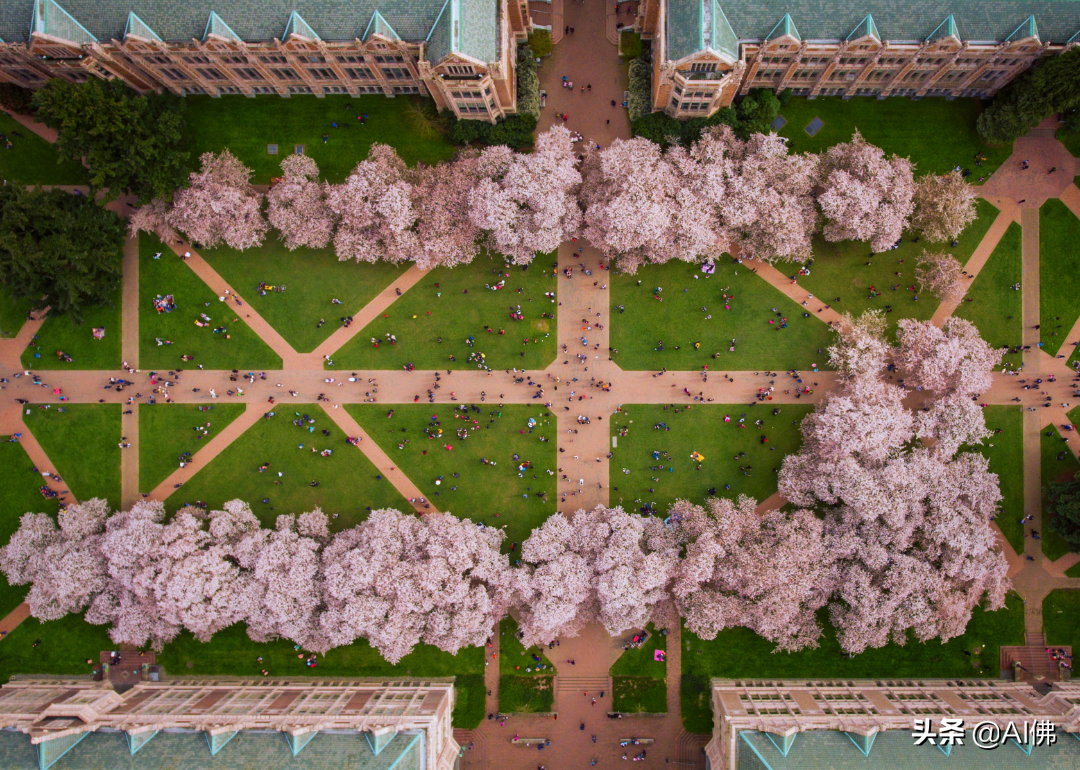 密歇根大学容易录取吗（2022美国每个州最好的大学）