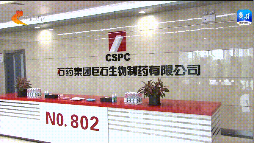 河北省副省长胡启生调研石药集团