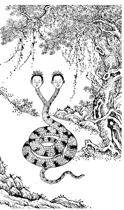 聊斋故事:双头蛇人