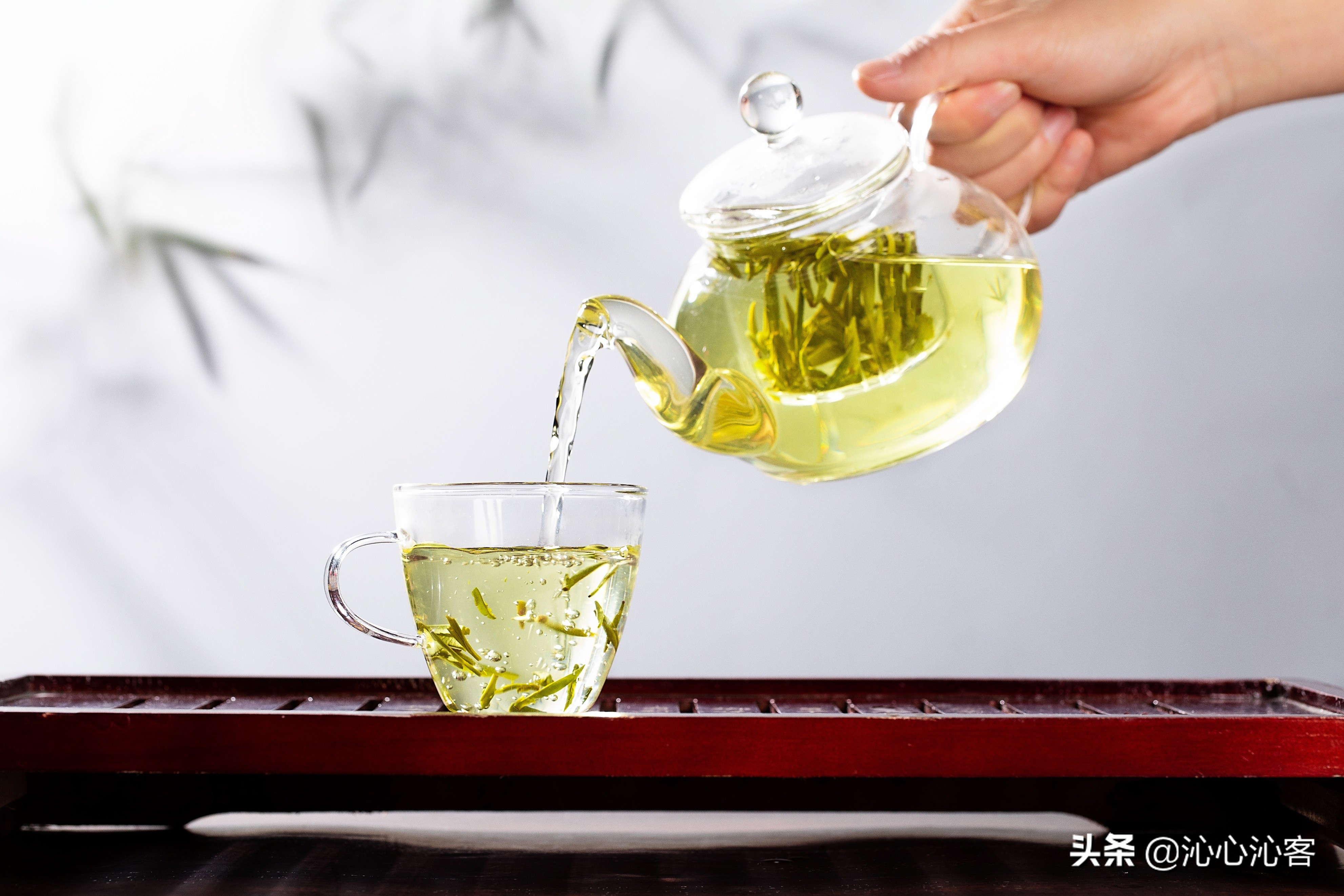 中國茶葉分類基礎知識大全，你想知道的都在這