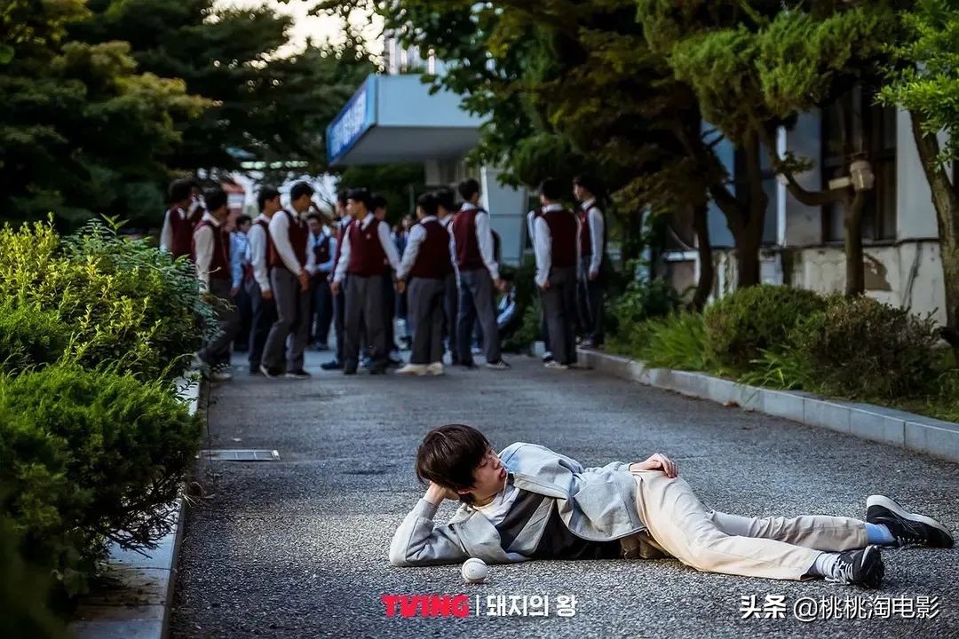 闹剧荒？今年最好的剧集都在这了