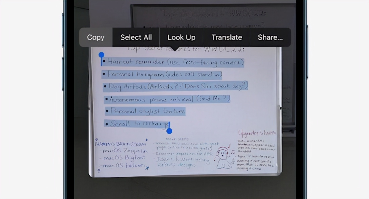 iOS 15，神憎鬼厌？