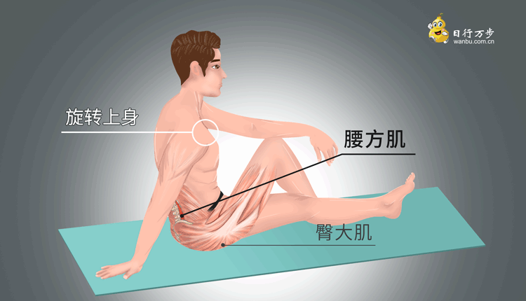 体侧屈伸展动作描述图片