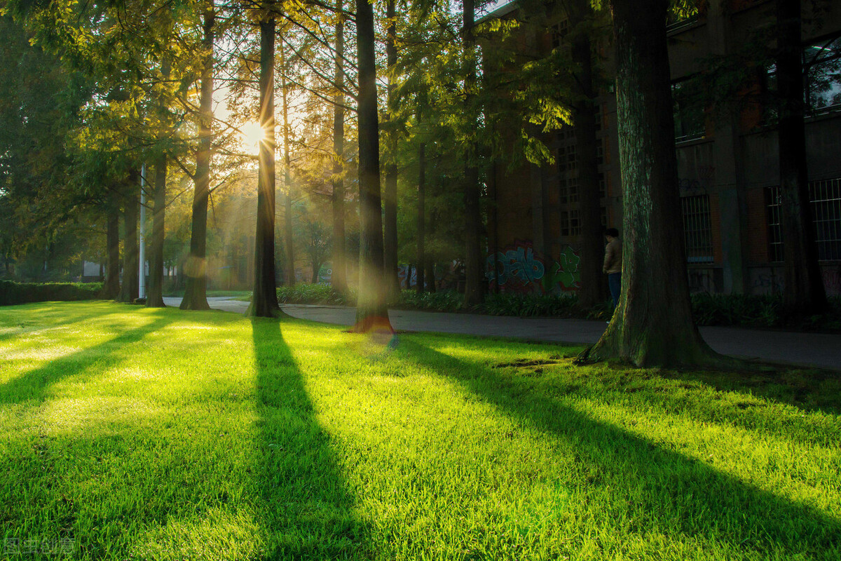 一天涨粉好几倍！他是怎么做的？