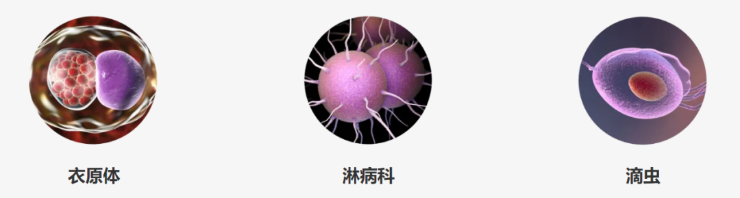 平安主投，全球首家掌上PCR一月获投8亿