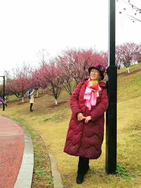 水龙吟·赣南春色
