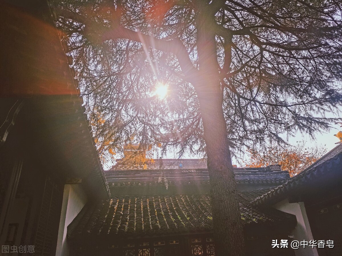 乡村里，松烟入墨香膏的气息温暖而充满活力，唤醒冬日沉睡的万物