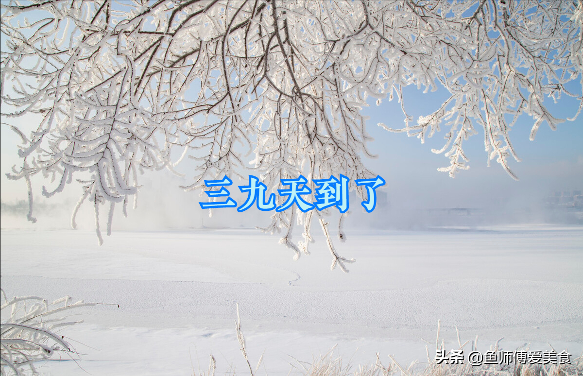 推荐6种适合三九天的美食，健康美味，营养丰富，温暖过冬天