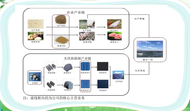 5分钟了解通威股份