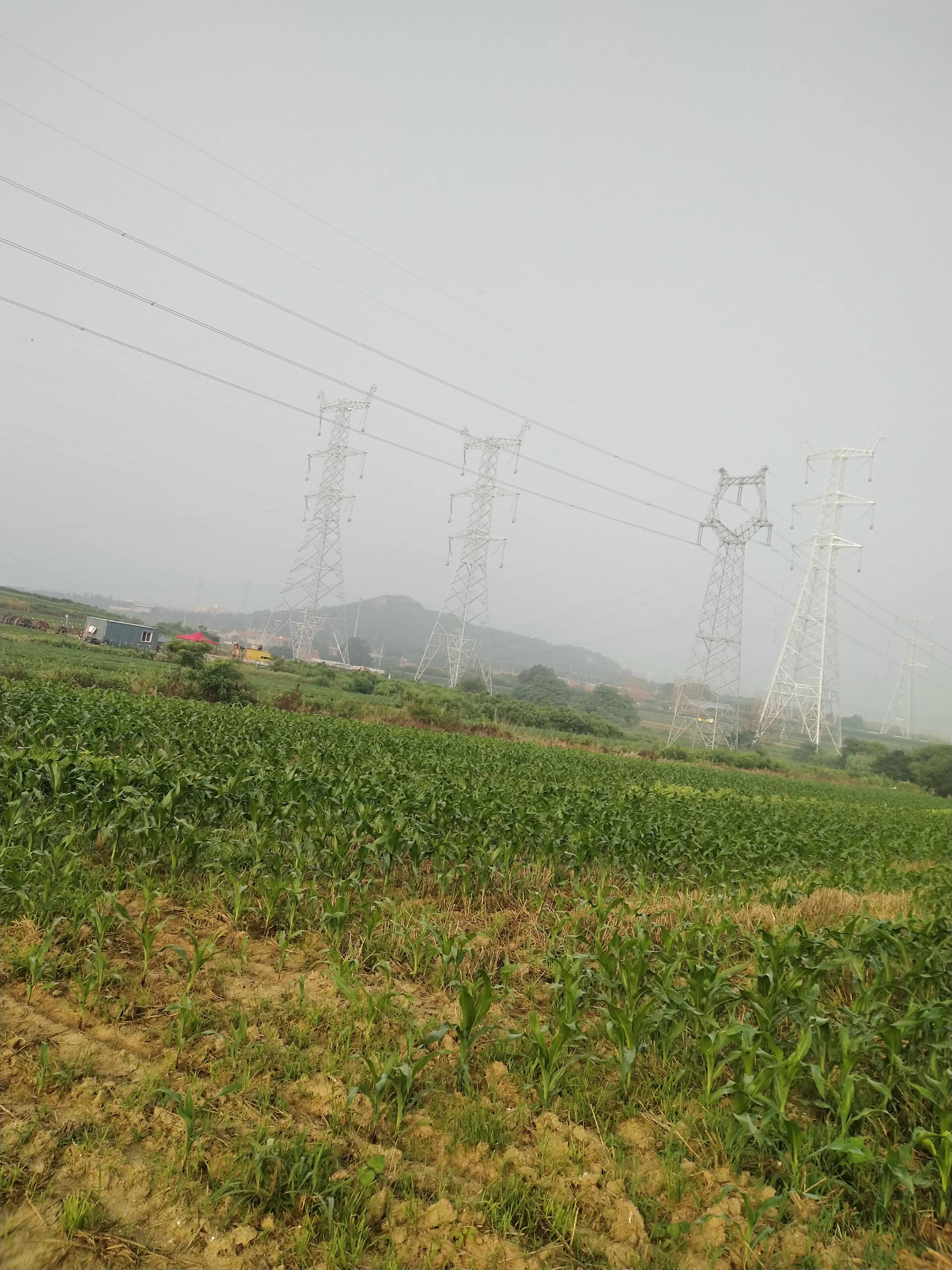 律师在代理民事案件中有关涉及到犯罪事务的处理