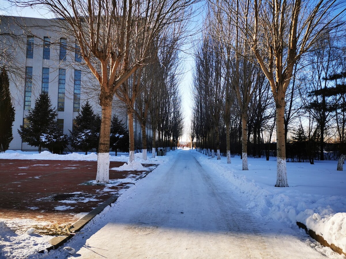 看似公办，实则民办的5所大学，在东北办学特色明显，性价比高