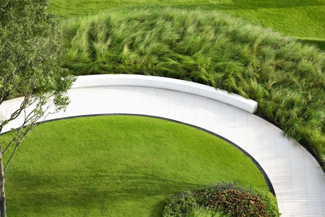 美妙的公园设计，是“纯欲天花板”