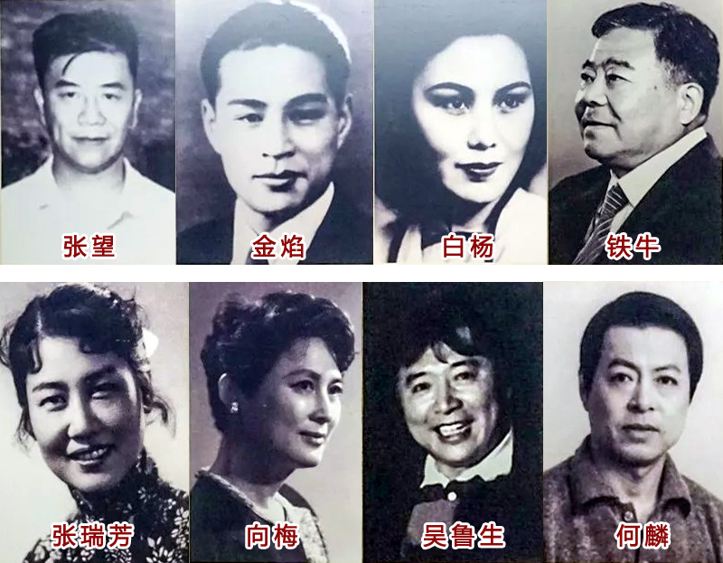 长得像陈少泽 声音像童自荣 昔日上影帅男星 高大英俊 为何一直不红？