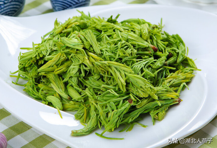 野菜的种类和做法（带你见识不同的野菜和吃法） 97