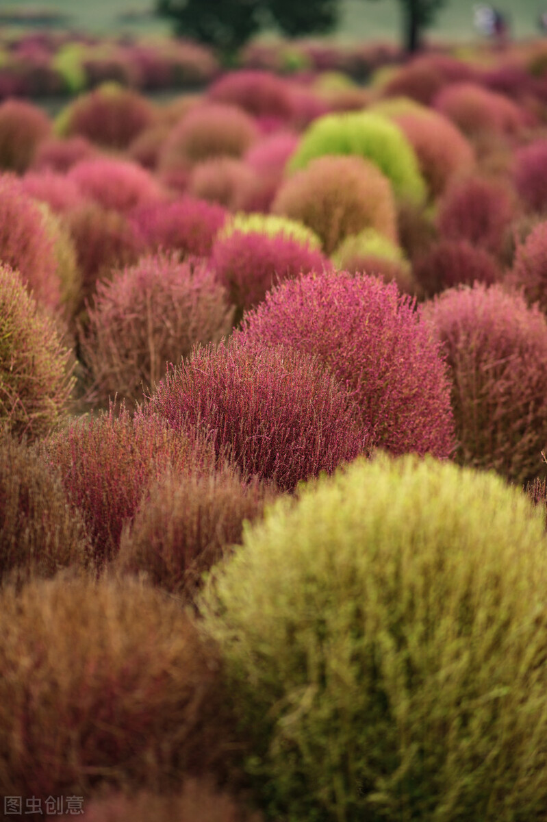 受骗的过程（短篇小说）