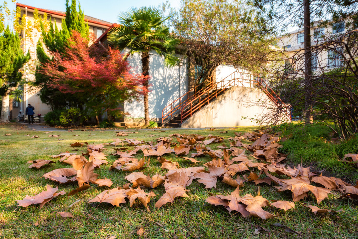 上榜双一流的4所师范大学，排名实至名归，培养的师范生全国认可