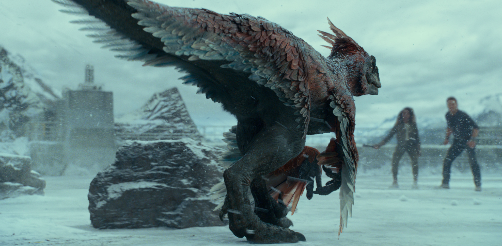 拍完雪藏3年，新版《陈真》上映，首日票房仅295元，观看人数8人