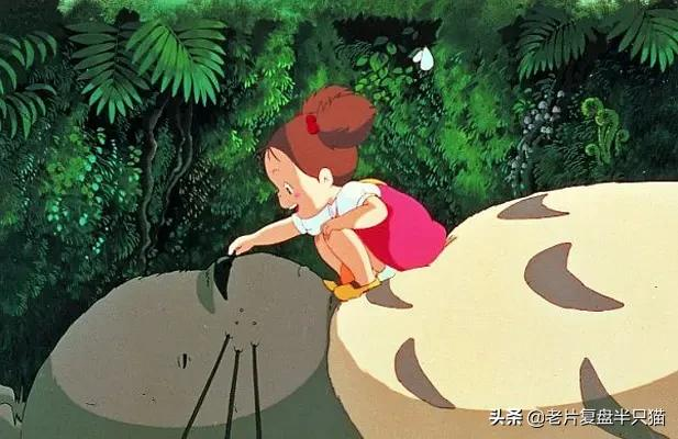 为什么大人们看不见《龙猫》?快乐的背后是一个残酷的世界