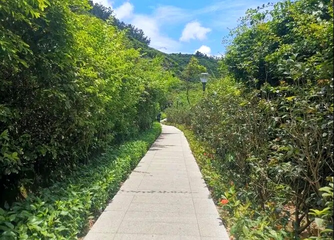 深圳这22个地方真美，可以徒步穿越，看海，地铁直达，无门票