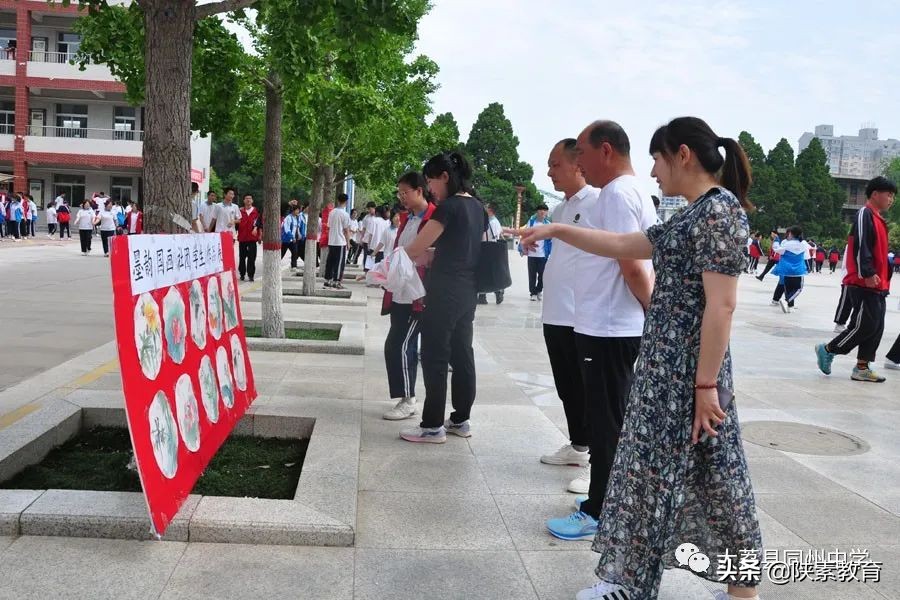 大荔县同州中学“喜迎二十大 一起向未来”书画展(图14)