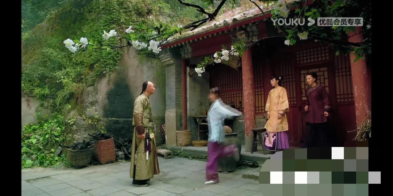 果郡王回来浣碧扑上去的那一幕太好笑了！浣碧倒拔果子狸