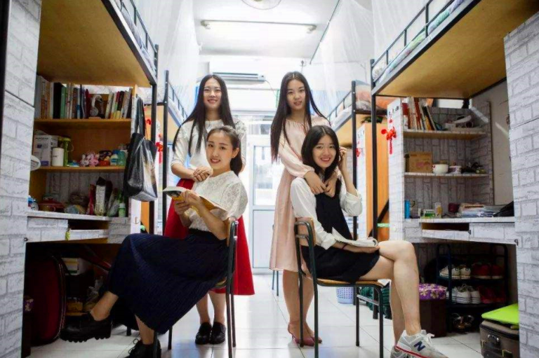 女生宿舍养猫被举报，宿管阿姨查寝哭笑不得，只因橘猫太胖藏不住