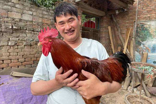 大衣哥前脚给陈萌买首饰，后脚卖废品换馒头，直言：能吃好几天