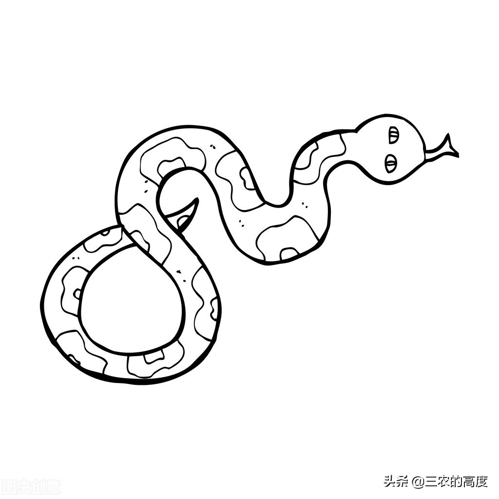 蛇是怎么冬眠的(民间老话说) - seo葵花宝典